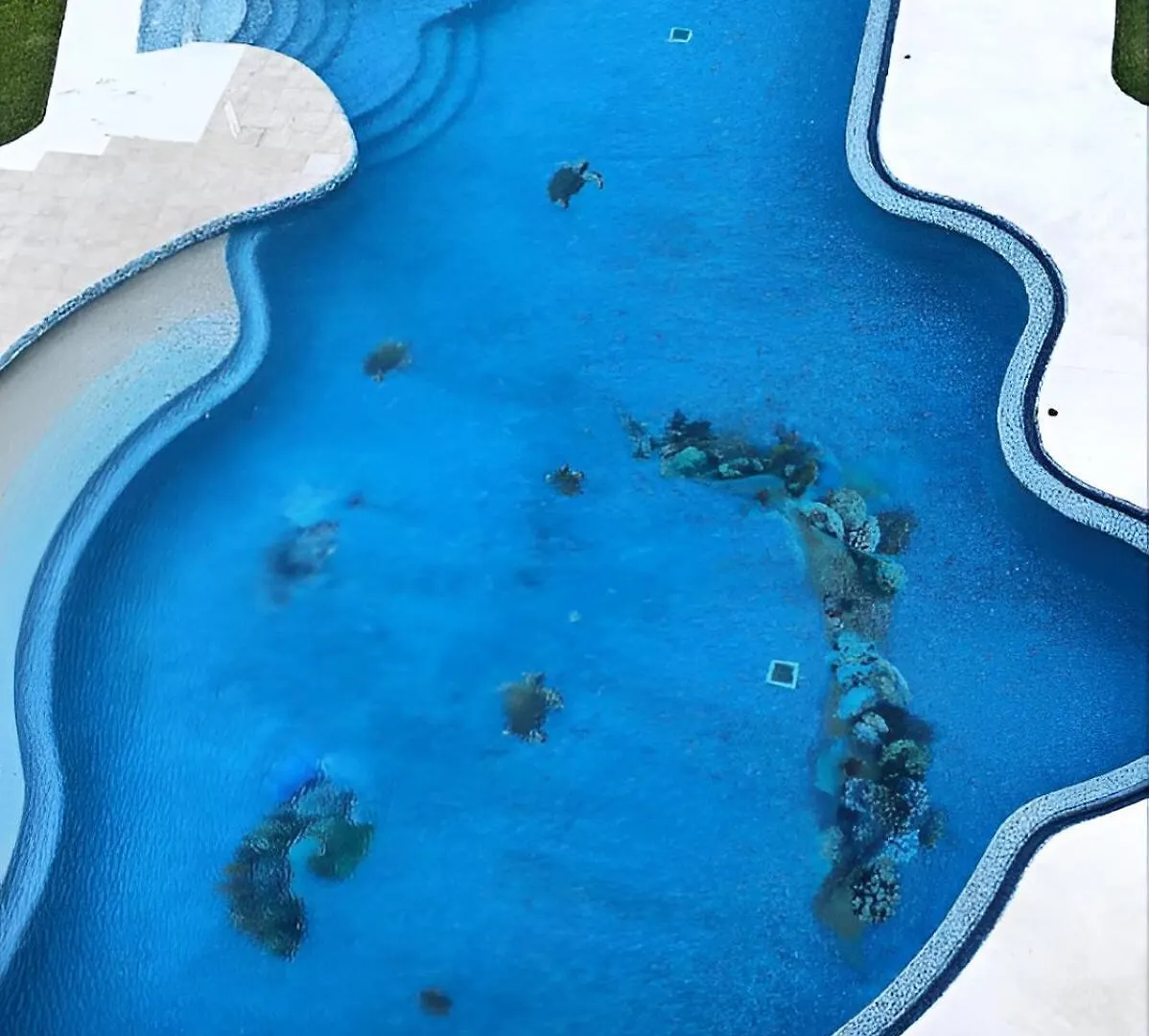 Ave Fenix Hotel And Resort Cozumel